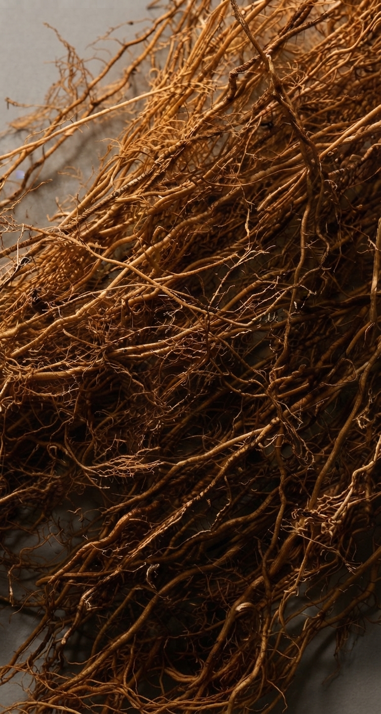 Vetiver